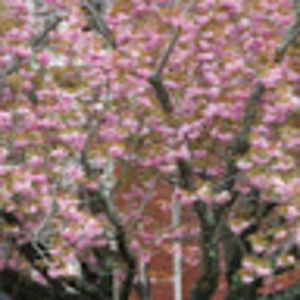 Meet your Posher, Margaret